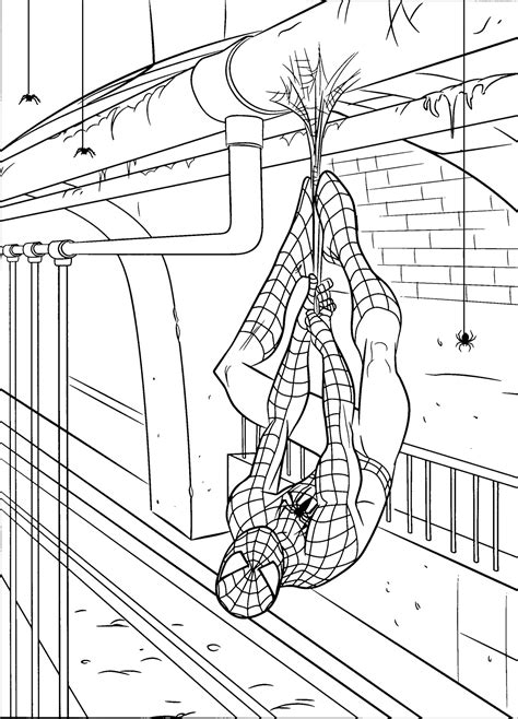 spiderman coloring pages printable|More.